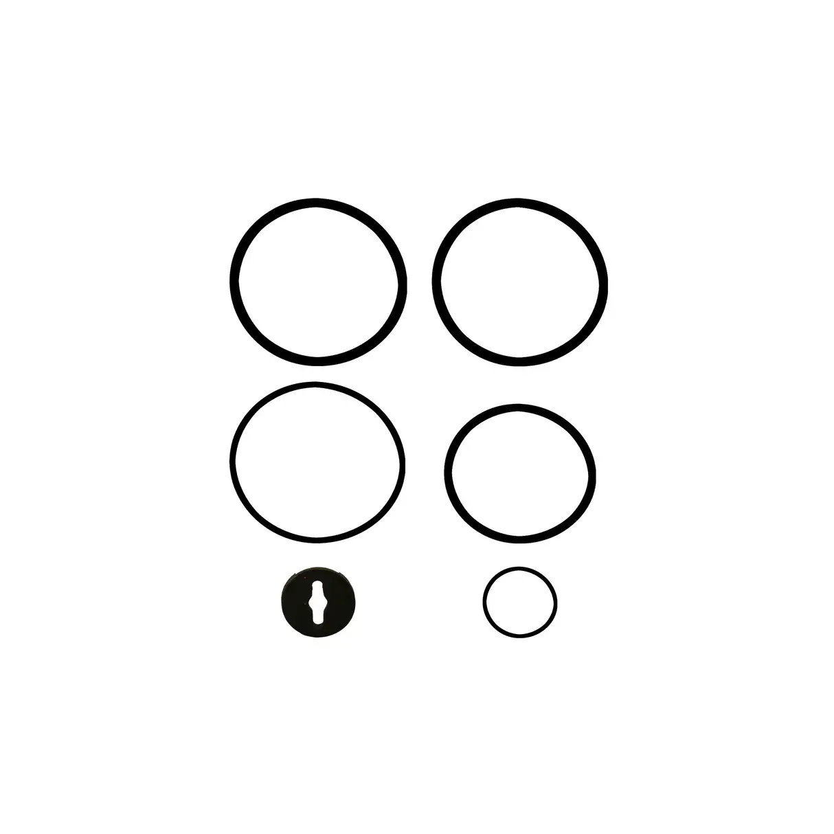 Набор сменных уплотнительных колец (O-rings) для микро-пиннера PP123